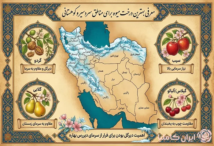 بهترین درخت میوه برای مناطق سردسیر و گرمسیر